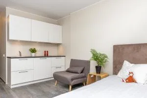 Aisa 39 Apartments - 维尔扬迪