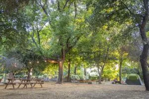 Camping Dafna - By Travel Hotel Chain - Yuval