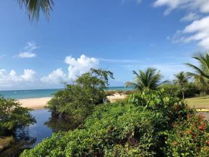 CASA DE PRAIA CORURIPE - LAGOA DO PAU