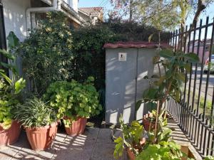 Casa Roble Añejo Bed & Breakfast