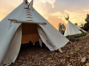 Tentes de luxe Au reve de l'Ours : photos des chambres