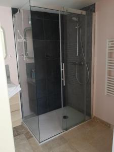 Appartements Le Puits : photos des chambres