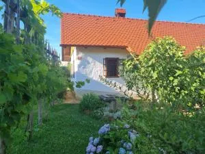 Balajceva domačija - Moravske Toplice - Prosenjakovci