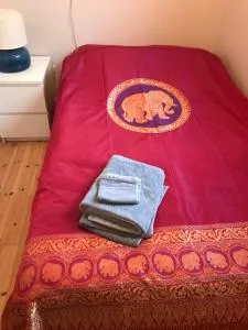 Dr Haave- middle of nowhere, pikeværelset - Åsen