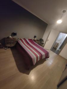Appartements Tres grand appartement de 76m2 a Strasbourg : photos des chambres