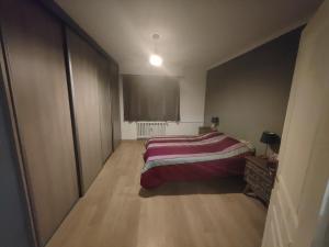 Appartements Tres grand appartement de 76m2 a Strasbourg : photos des chambres