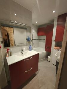 Appartements Tres grand appartement de 76m2 a Strasbourg : photos des chambres