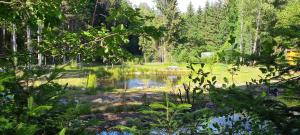 Maisons de vacances Les Saules : photos des chambres