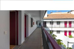 apartamento la rosaleda