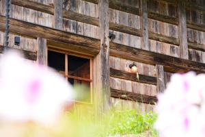 HAKU 100-year-old Quaint Japanese Style Villa