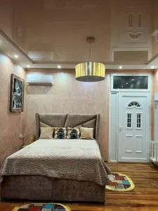 Studio apartman De Lux Loznica - Ploča