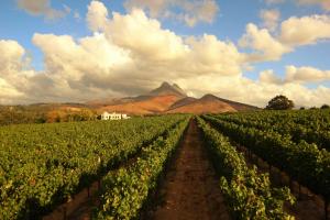 Mitres Edge Vineyard Studio