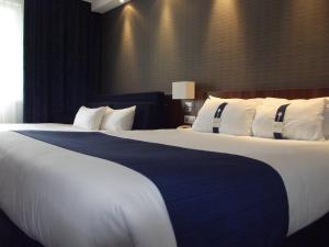 Hotels Holiday Inn Express Strasbourg - Sud, an IHG Hotel : photos des chambres