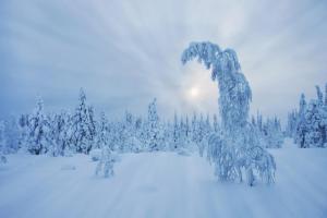 Skyfire Village Igloos