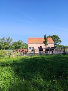 Maisons de vacances Bienvenue a La Grenouillere : photos des chambres