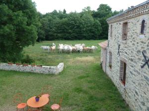 B&B / Chambres d'hotes Moulin de Drapras : photos des chambres