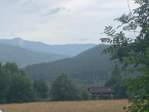 Cozy apartment Brčalnik