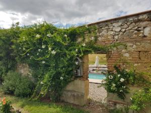 B&B / Chambres d'hotes Le clos du Murier : photos des chambres