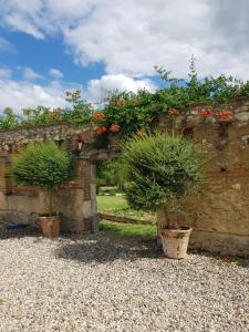 B&B / Chambres d'hotes Le clos du Murier : photos des chambres