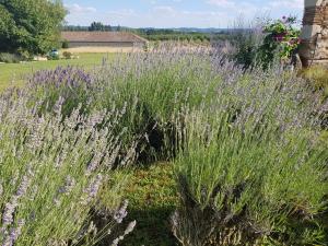 B&B / Chambres d'hotes Le clos du Murier : photos des chambres