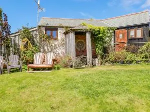 Seashells - Marhamchurch