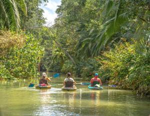 Lovely Condo near monkey habitat and beach