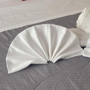 Affittacamere LOrchidea