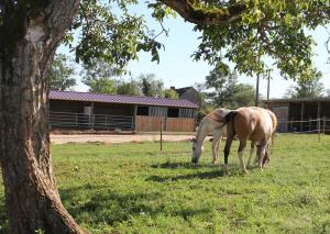 Sejours a la ferme chezcaro26 : photos des chambres