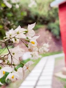 Home away from home , Perfect Family!