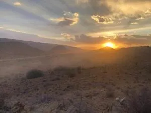 Weltevrede Fig Farm - 莱迪史密斯