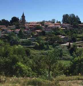 Fig&Lavender Apartment