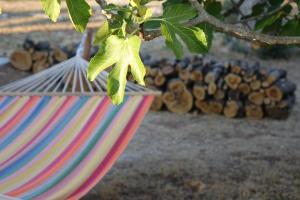 Suite - Vue sur Jardin