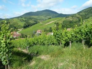 Maisons de vacances Schiefferberg : photos des chambres