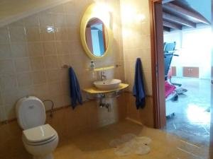 Attic family apartment