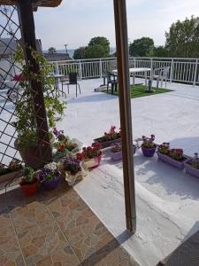 Attic family apartment