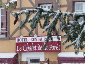 Hotels Le Chalet de la Foret Logis Hotel 3 etoiles et restaurant : photos des chambres