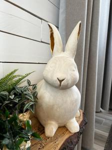 Appartements Pan Pan Le Lapin Aubagne-Cassis-Aix en Provence : photos des chambres