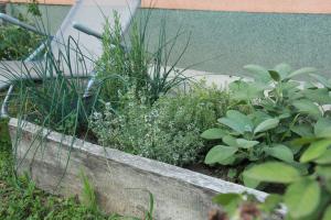 Kuća za odmor Botanika