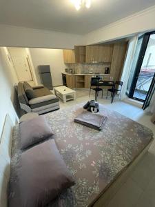Ini Apartment Solid House Butoaie Mamaia