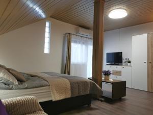 Vonyarc House