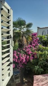 Deluxe Studio room in Alexante