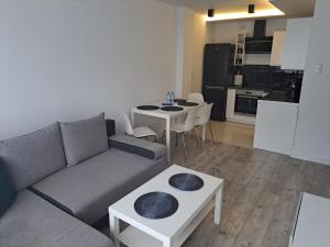 Apartament Miejski