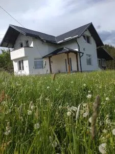 Pensiunea DARIA - Botuşel