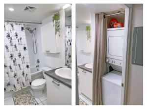 Cozy Condo in Centre of Downtown Toronto