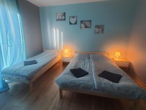 Apartament u Asi