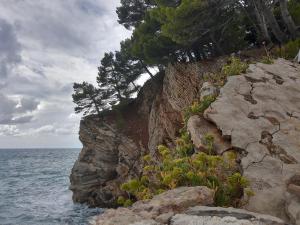 Sea-side Old Stone Villa with a private Garden