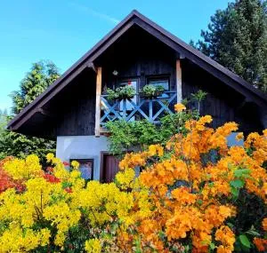 Apartament Droździkówka - Trzebinia