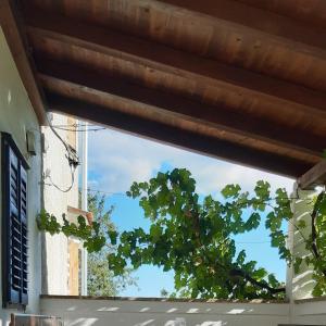 Holiday Home Loznati