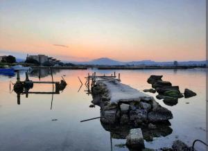 Magic DaLu con posto auto img38