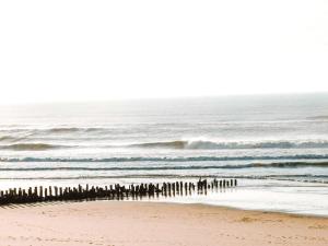 Appartement T2 Rénové à 2 min de la Plage, Centre Seignosse, Tout à Pied, Draps et Ménage Inclus - FR-1-239-812